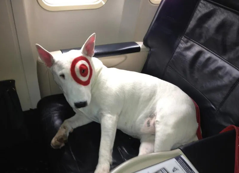These Are Some Of The Most Incredible Photos Ever Taken On Planes